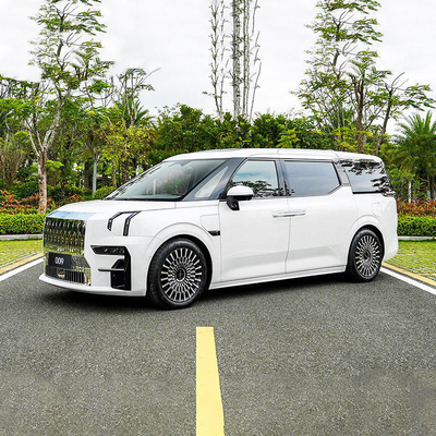MPV Body Structure 2022 ZEEKR 009 Elektrische auto met 125kW maximaal vermogen en luxe ontwerp