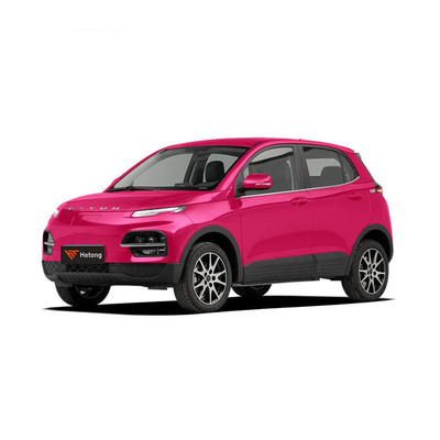 DAYUN M1 Energievoertuigen Elektrische auto Volwassen auto Luxe 2023 Yuehu ES3 300km Long Range EV