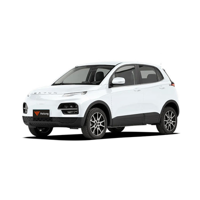 DAYUN M1 Energievoertuigen Elektrische auto Volwassen auto Luxe 2023 Yuehu ES3 300km Long Range EV