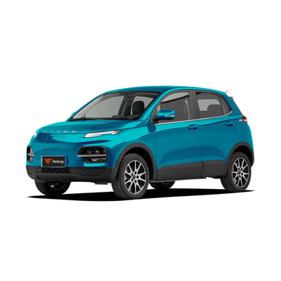 DAYUN M1 Energievoertuigen Elektrische auto Volwassen auto Luxe 2023 Yuehu ES3 300km Long Range EV