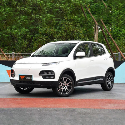 DAYUN M1 Energievoertuigen Elektrische auto Volwassen auto Luxe 2023 Yuehu ES3 300km Long Range EV