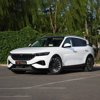 VOYAH Voyah SUV elektrische auto met 5 zitplaatsen en snel opladen van 3-5 uur Klaar om te verzenden