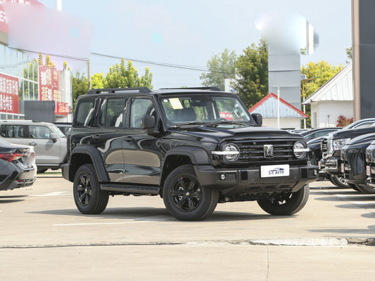 Tank 300 Cross-Country 2.0T Turbo Benzine Suv Chinees gas/benzine-elektrisch hybride voertuig