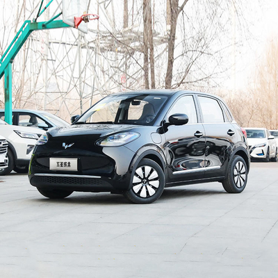 27kw Maximaal vermogen 203km bereik Wuling Binguo 203 Small Energy Pure Electric Mini EV Car