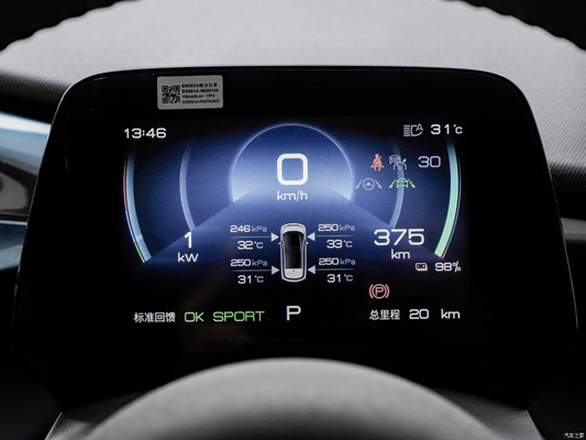 405 Km Pure Electric Car Endurance Cars Byd Dolphin met Lithium Iron Phosphate batterij