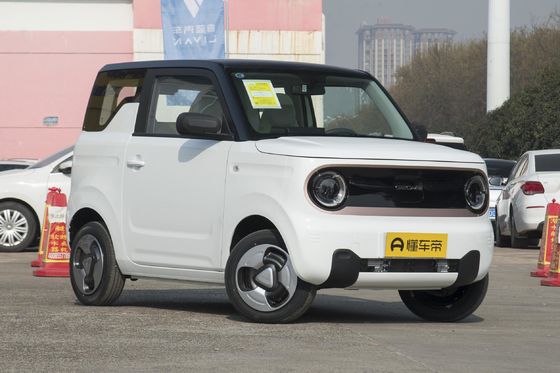 200 km zuiver elektrisch cruiserende actieradius km Geely Panda Mini elektrische auto Maximaal vermogen kw 40