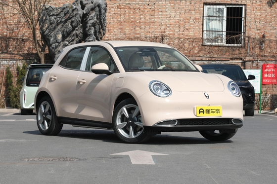 Haomao Mini Electric Car Ora's 401km bereik Speciale energievoertuig voor volwassen bestuurders