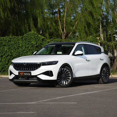 High Speed EV Fast Charging Electric Vehicle VOYAH GRATIS 2020-2023 ≥500Nm 5 zitplaatsen