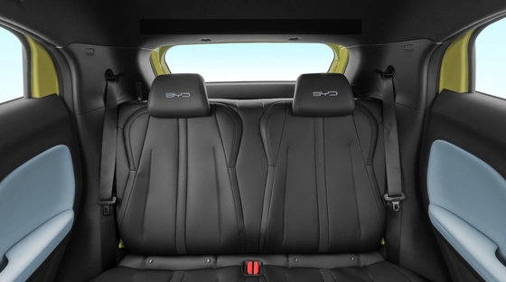 BYD Seagull vliegende elektrische auto met lithium-ijzerfosfaatbatterij 3780*1715*1540mm